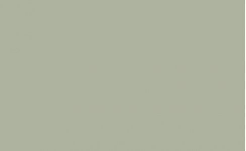 tikkurila_4929