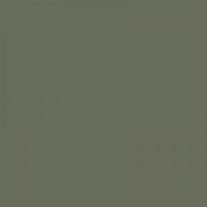 N448