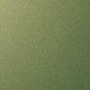 tikkurila_2025